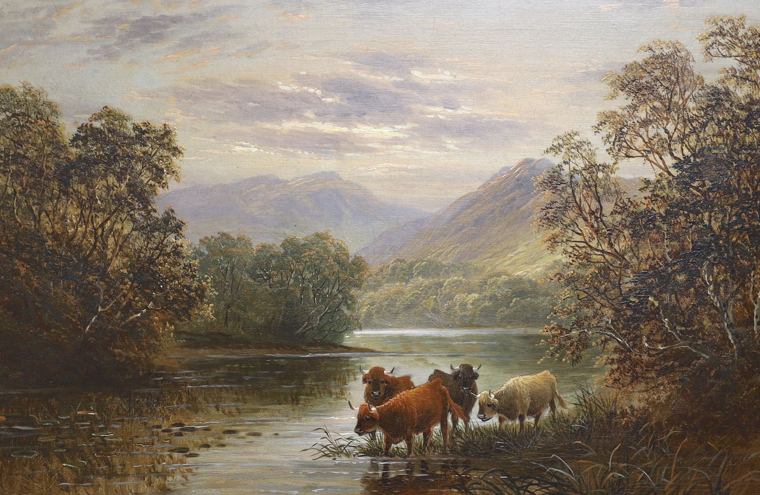 Albert Dunington (1860-1928), oil on canvas, Highland cattle watering, signed, 40 x 60cm